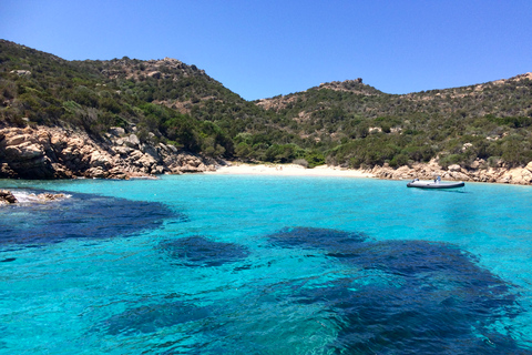 From La Maddalena and Palau: Tour of Budelli & Santa Maria Tour from Palau