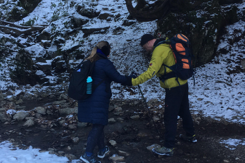 هونجكا: رحلة المشي لمسافات طويلة في جبل ميدفيدنيتسازغرب، هونجكا: نزهة لا تُنسى على جبل ميدفيدنيتسا