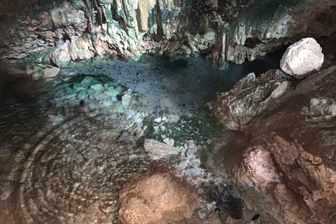Grot Verkenningstocht & Snorkelen