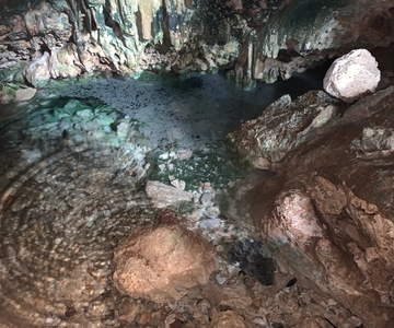Cave Exploration Tour & Snorkeling