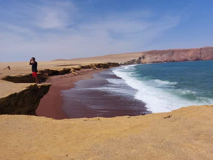 Galería de fotos para redes