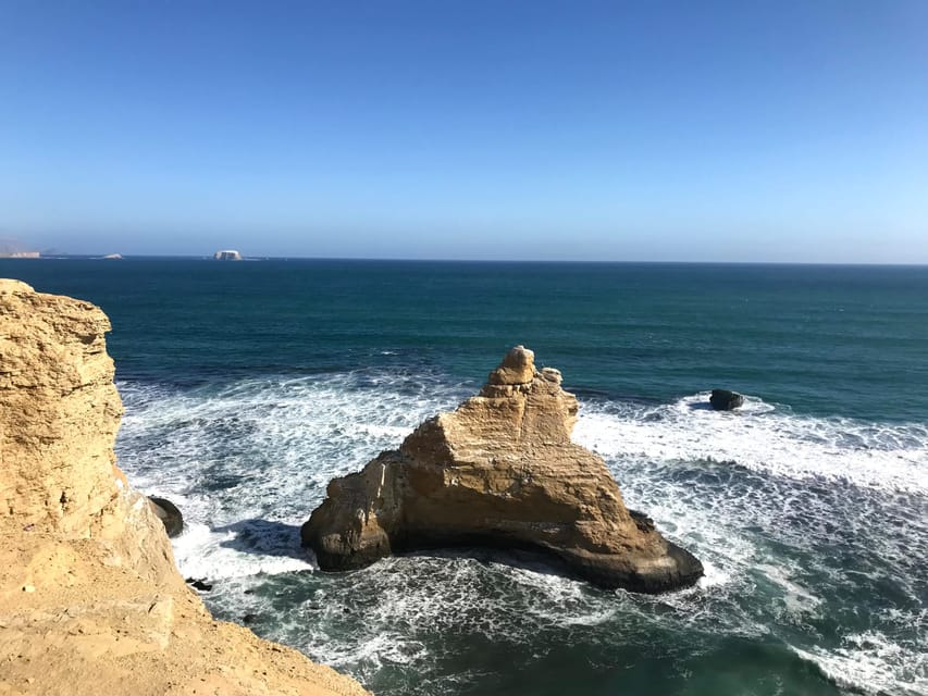 From Paracas Ballestas Island Cruise Paracas Reserve Tour Getyourguide