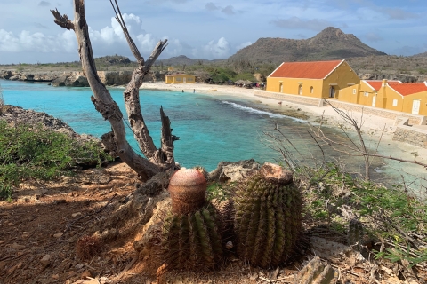 Southern Caribbean Cruising — ABC Islands; Aruba