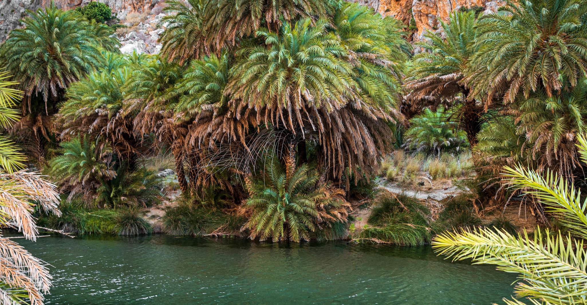 Rethymno, Preveli Strand Damnoni Strand Kourtaliotiko Tagesausflug - Hizvo