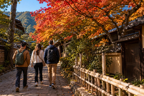 Nara: Autumn Colors, Deer & Historic Park Walk Early Bird 20% Off – Limited Autumn Offer
