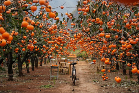 Guilin: Private Wen & Wu Temple Tour with Red Rock Village