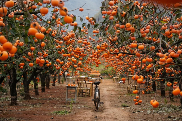 Guilin: Private Wen & Wu Temple Tour with Red Rock Village