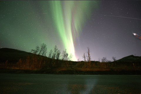 Tromsø: Northern Lights Tour with Photos & Snacks
