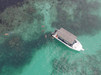 Victoria, St. Anne Marine Park et Cerf Island avec déjeuner - Housity