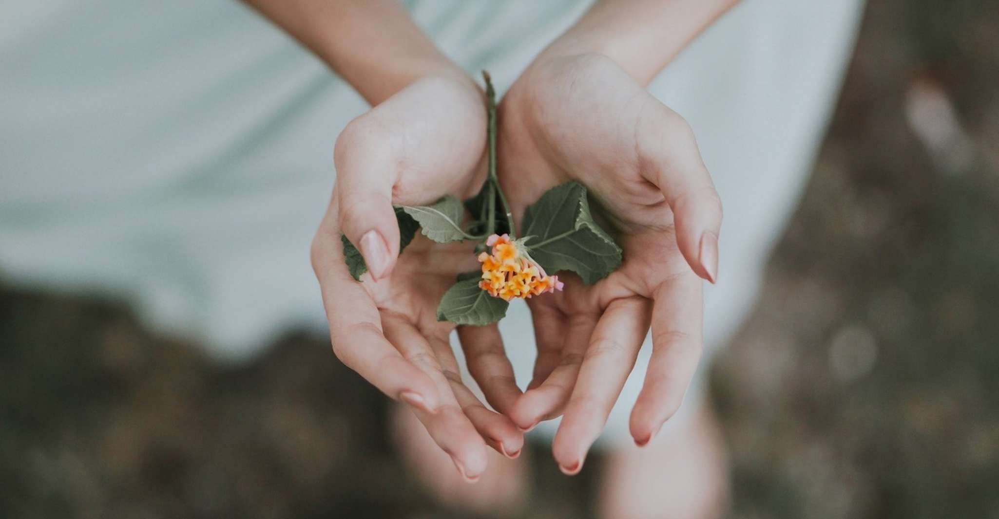 Bali, Healing and Aura Cleansing Tour with Yoga & Meditation - Hizvo