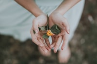 Bali, Guérison et Aura Cleansing Tour avec Yoga & Méditation - Hizvo