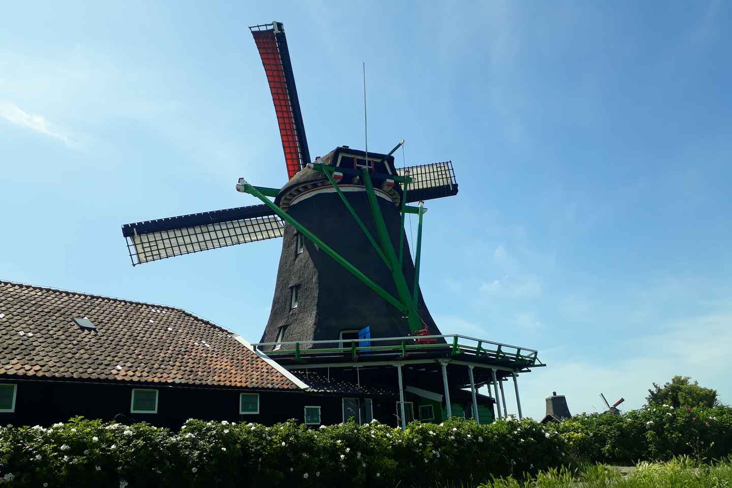 From Amsterdam: Zaanse Schans Windmills Private Tour