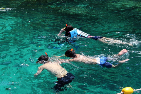 De Phuket: excursion privée d'une journée en hors-bord sur l'île de Phi Phi