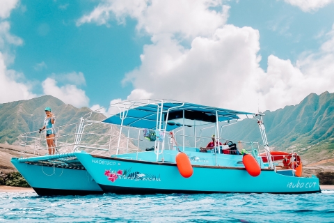 From Honolulu: Turtle Canyon Snorkel Cruise