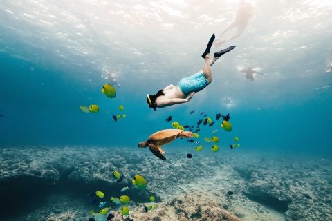 Découvrir les profondeurs et nager avec les tortues à WaikikiDepuis Honolulu : croisière avec tuba dans le Turtle Canyon