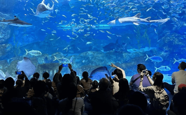 Seoul: Coex Aquarium Entry Ticket