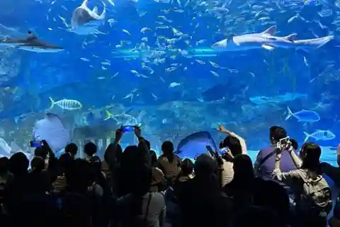 Billets d'entrée à l'aquarium Coex