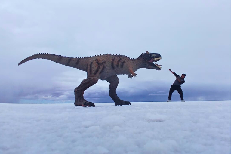 From Uyuni: 2 Day Salt Flats and Hot Springs Tour