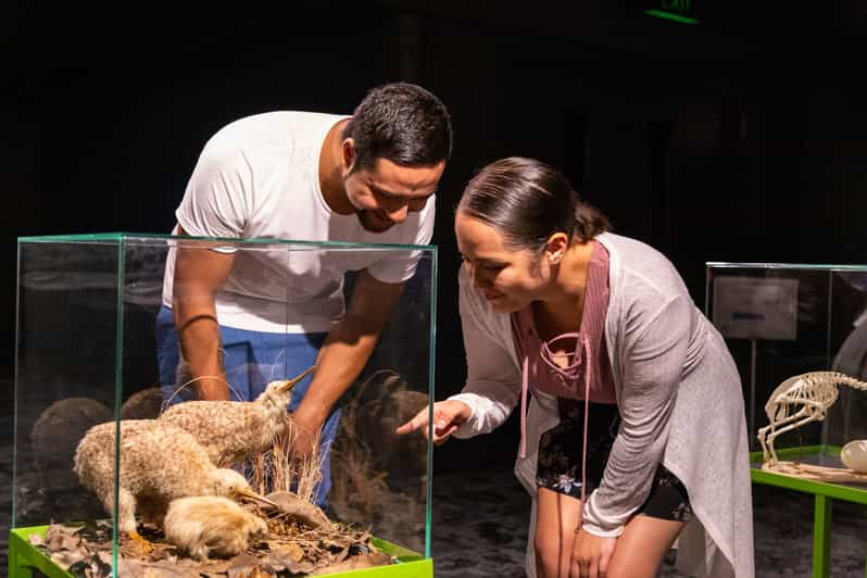 kiwi hatchery tour