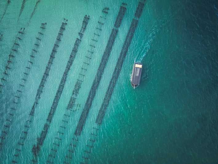 Port Lincoln: Coffin Bay Meeresfrüchte, Wein und Natur Tagesausflug