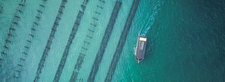 Port Lincoln : Excursion d'une journée à Coffin Bay pour découvrir les fruits de mer, le vin et la nature
