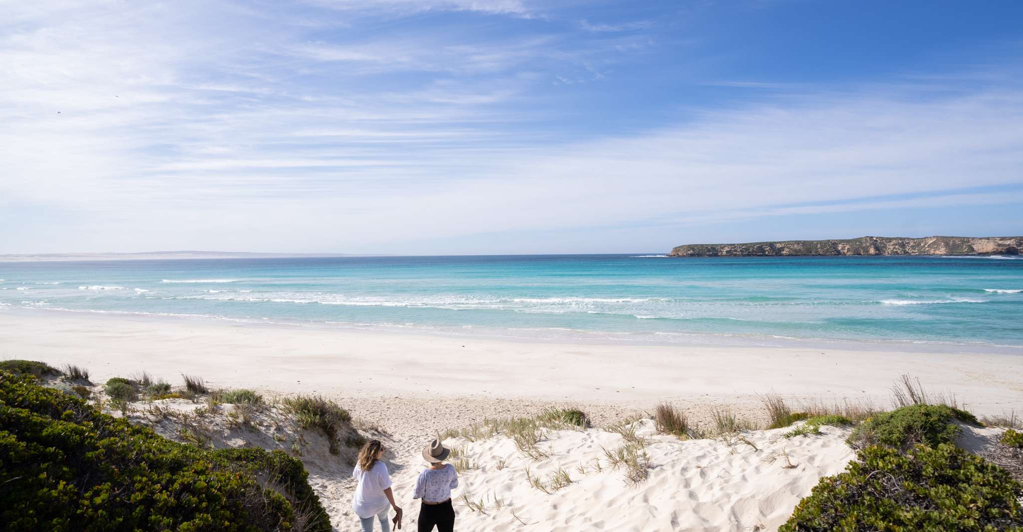 Port Lincoln, Coffin Bay Seafood, Wine, and Nature Day Trip - Housity