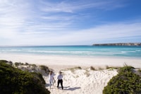 Port Lincoln, mariscos de Coffin Bay, vino y viaje de un día de la naturaleza - Housity