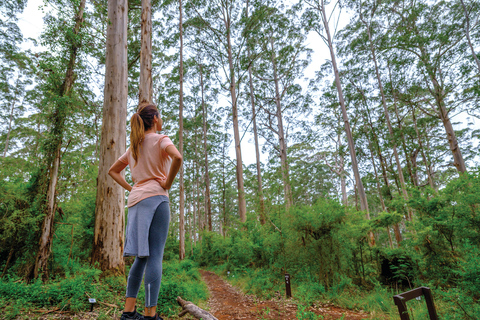 Au départ de Perth : Circuit de 6 jours de Margaret River à Esperance