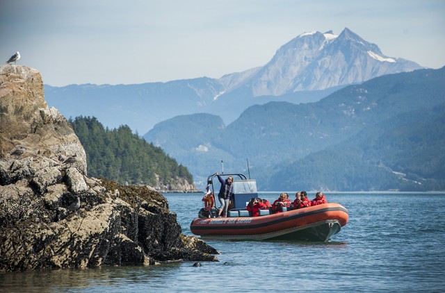 Visit Vancouver Howe Sound Fjords, Sea Caves & Wildlife Boat Tour in Vancouver