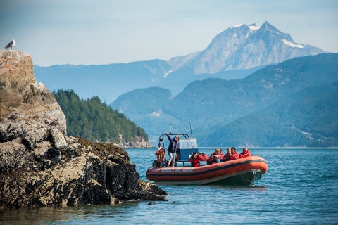 Vancouver: fiordy Howe Sound, jaskinie morskie i wycieczka łodzią po dziką przyrodęVancouver: wycieczka po fiordach z promem