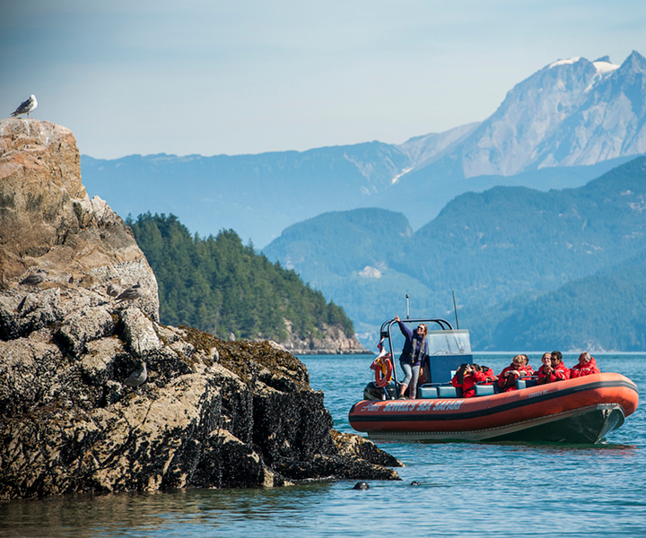 Vancouver: Howe Sound Fjords, Sea Caves & Wildlife Boat Tour