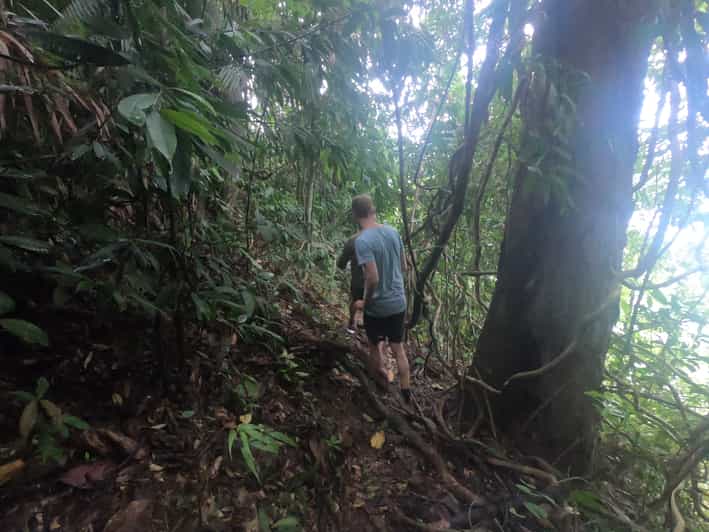 Colagem de mídia