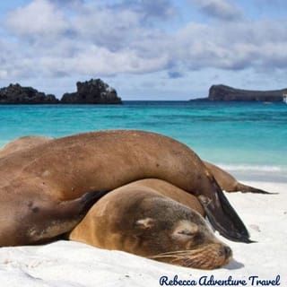 From Baltra: 6-Day Galapagos Island Hopping Tour w/ Lodging