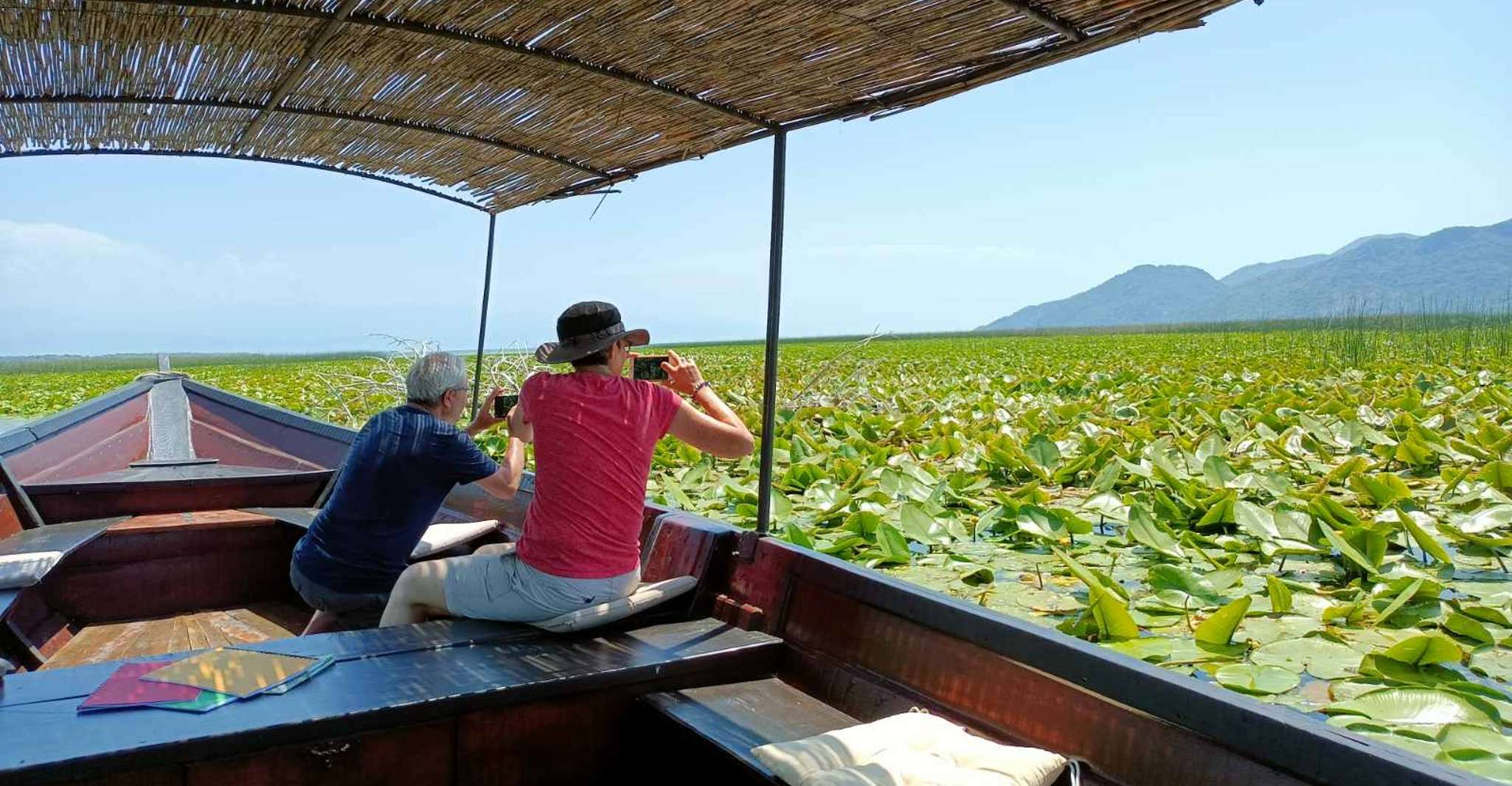 From Virpazar, Lake Skadar Scenic Boat Trip in Nature - Housity