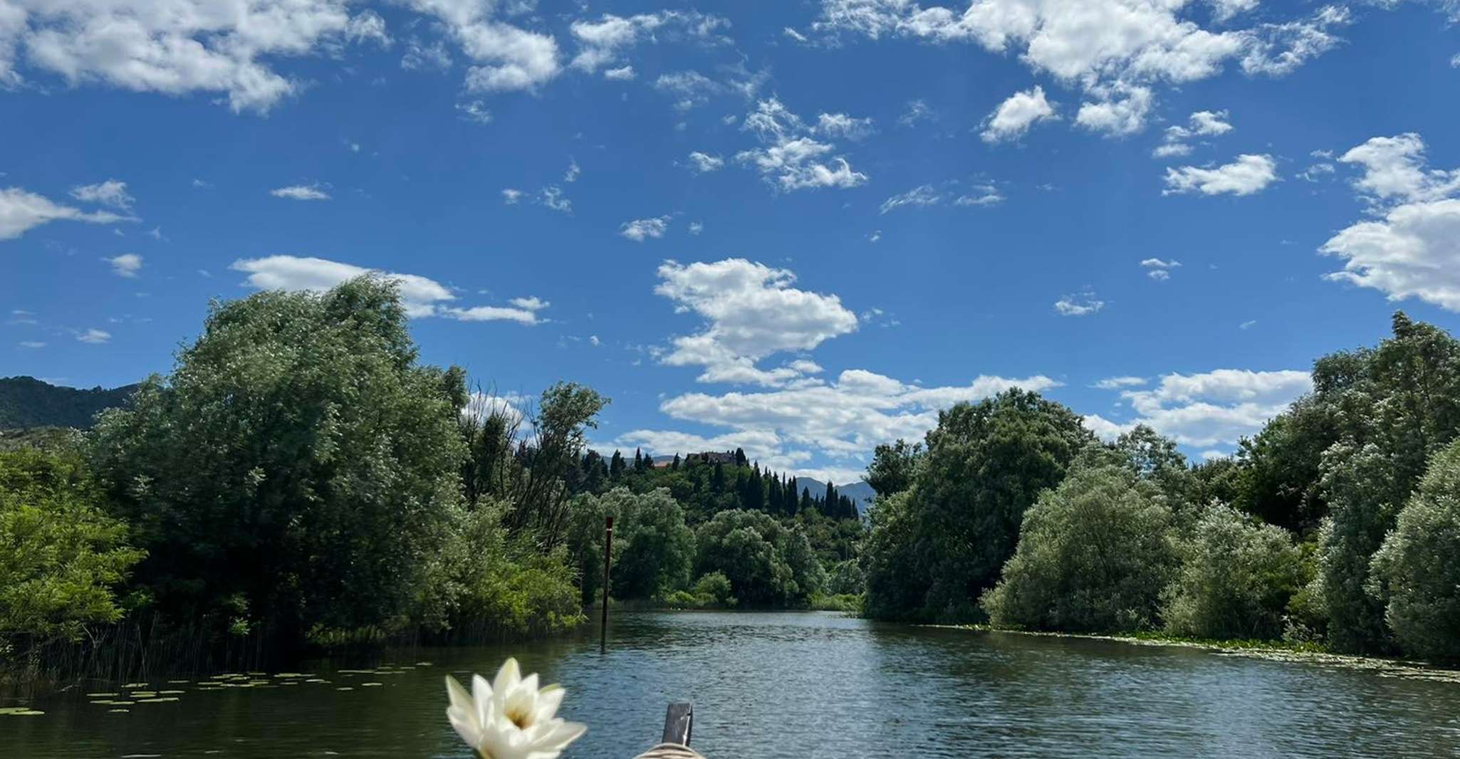 From Virpazar, Lake Skadar Scenic Boat Trip in Nature - Housity