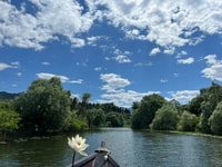 From Virpazar, Lake Skadar Scenic Boat Trip in Nature - Housity