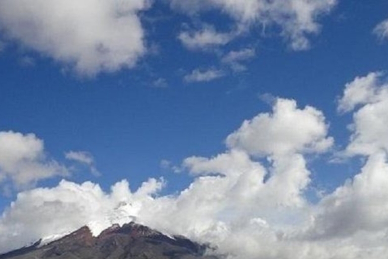 Z Quito: Całodniowa wycieczka do Parku Narodowego CotopaxiWspólna wycieczka