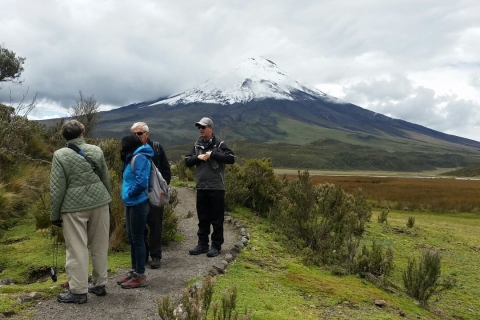 Ab Quito: Tagestour zum Nationalpark CotopaxiPrivate Tour