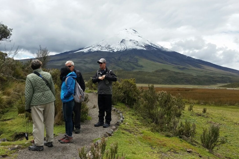 From Quito: Cotopaxi National Park Full-Day Tour Shared Tour