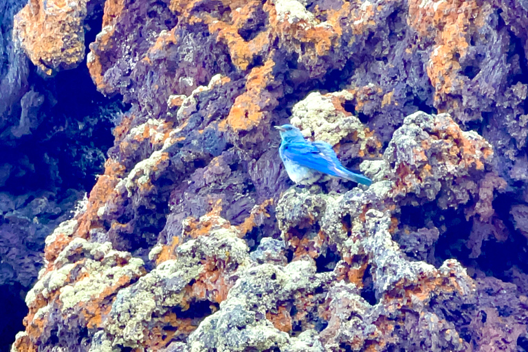 Twin Falls: Craters of the Moon Full-Day Tour with Lunch Meeting Point