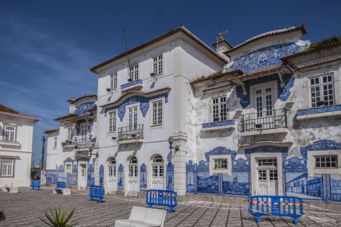 Desde Oporto: tour privado de Aveiro y CoimbraDesde Oporto: tour privado de Aveiro y Coimbra con traslado
