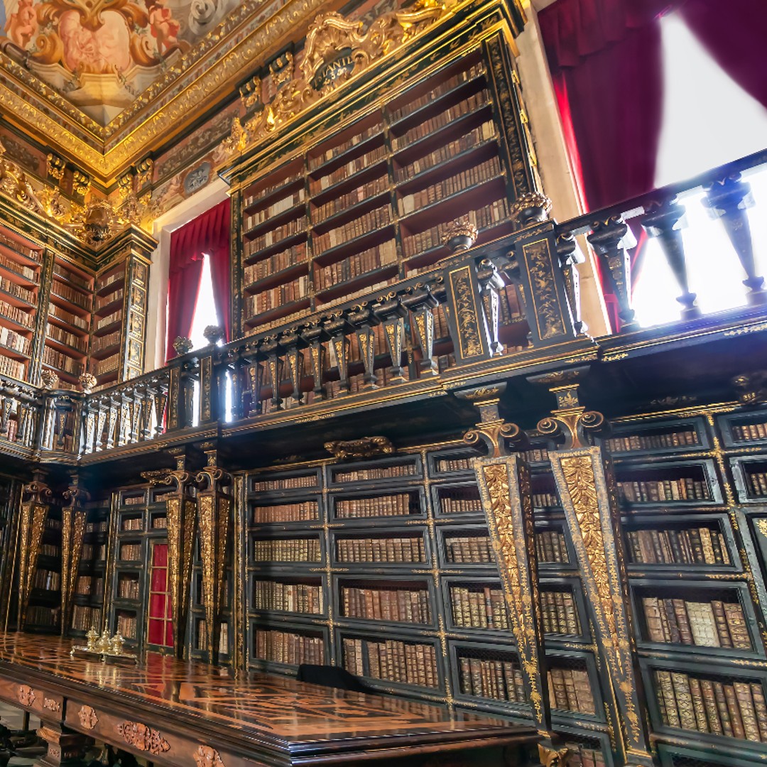 Galerie média