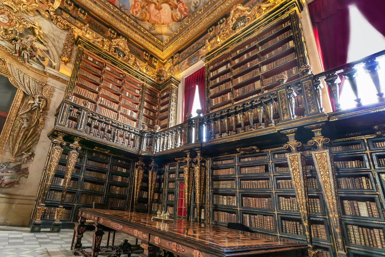 Desde Oporto: tour privado de Aveiro y CoimbraDesde Oporto: tour privado de Aveiro y Coimbra con traslado