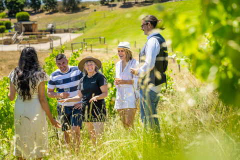 McLaren Vale: tour privato della cantina biodinamica dei vini Gemtree