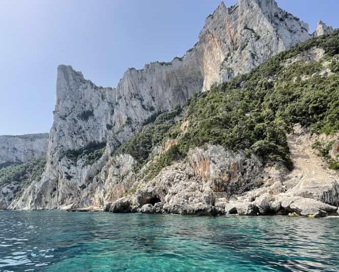 Gita In Barca Grotta Del Fico Cala Mariolu Gabbiani Biriala