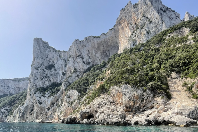 Santa Maria Navarrese: Grotta del Fico and Beaches Boat Trip