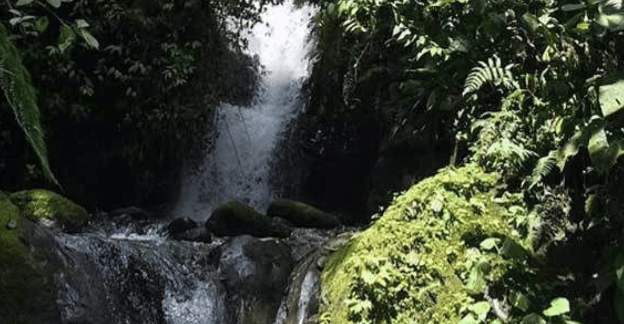 キト から , ミノ ・ クラウド ・ 森 の 日 の 旅 - Hizvo
