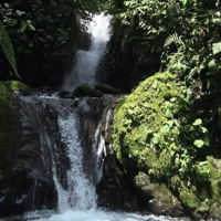 Von Quito, Mindo Cloud Wald Tagesausflug mit Transfer - Hizvo