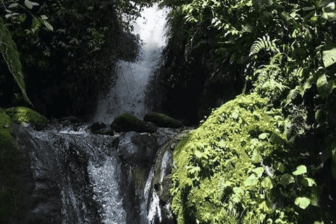 From Quito: Mindo Cloud Forest Day Trip with Transfer