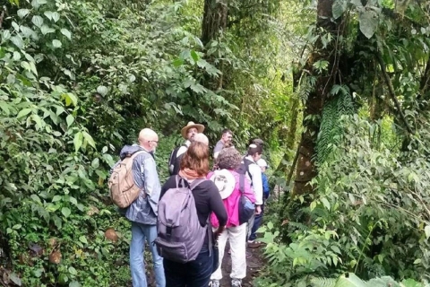 Visite en petit groupe de la forêt nuageuse Mindo au départ de QuitoVisite privée avec déjeuner